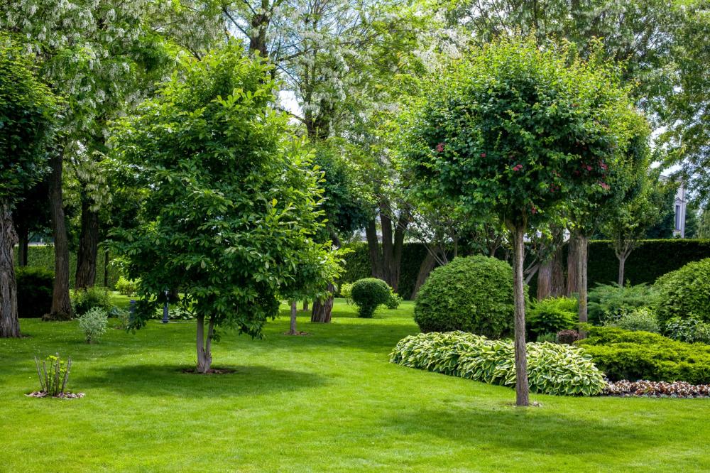 Entretien jardin près de Saint-Blaise-du-Buis