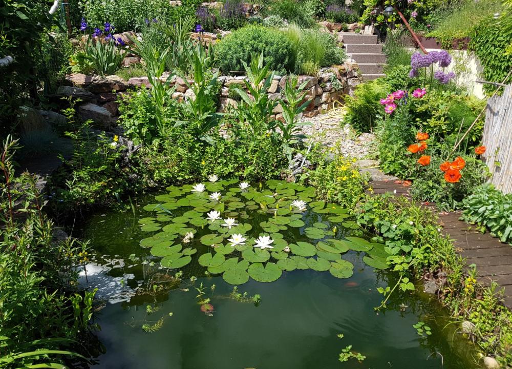 Bassin de Jardinn